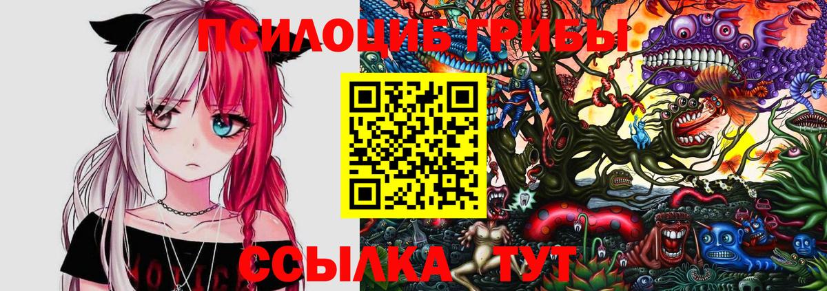 Красный Сулин  Галлюциногенные грибы Psilocybine cubensis  Вход с VPN 